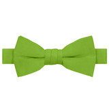 Young Boys' Pre-Tied Banded Adjustable Solid Color Bow Tie - Apple Green