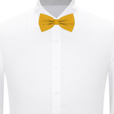 Banded Polka Dot Bow Tie - Gold