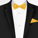 Banded Solid Bow Tie - Canary