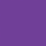Young Boys' Solid Color 11 inch Pre-Tied Zipper Neck Tie - Purple