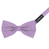 Banded Polka Dot Bow Tie - Lavender