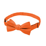 Young Boys' Woven Subtle Mini Squares Adjustable Pre-Tied Banded Bow Tie - Orange
