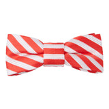 Baby's Candy Cane Stripe Clip-On Bow Tie