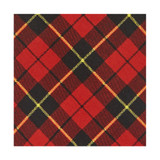 Young Boys' Royal Tartans Plaid Wallace Adjustable Pre-Tied Banded Bow Tie - Red