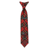 Kid's Wallace Tartan Plaid 11 inch Clip-On Tie