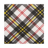 Kid's MacPherson Tartan Plaid 11 inch Zipper Tie