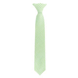 Boys' 14 inch Pre-Tied Clip-On Seersucker Striped Pattern Neck Tie - Green