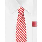 Kid's Candy Cane Stripe 11 inch Zipper Tie
