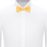 Banded Mini Squares Bow Tie - Honey