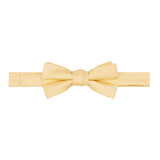 Kid's Woven Mini Squares Banded Bow Tie - Honey