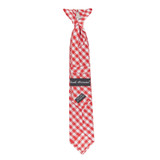 Kid's Gingham 11 inch Clip-On Tie - Red