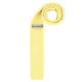Boys' Prep Solid Color Knitted Self-Tie Regular Neck Tie - Yellow