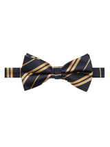 Double Stripes Navy Blue Gold