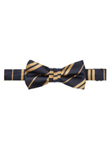 Double Stripes Navy Blue Gold