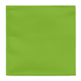 Apple Green Solid