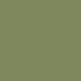 Men's Solid Bow Tie - Olive