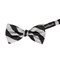 Banded Narrow Stripes Bow Tie - Silver Black
