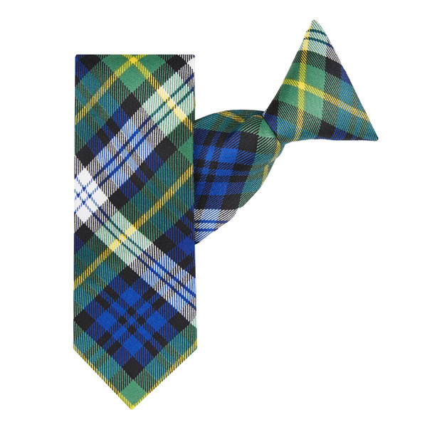 Boys' Royal Tartans Plaid Dress Gordon 14-inch Pre-Tied Clip-On Neck Tie - Green White