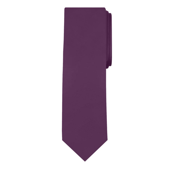 Men's Eggplant Solid Color Necktie