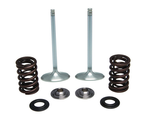 Kibblewhite Intake Valve / Spring Kit: 20-21 Kawasaki KX250F