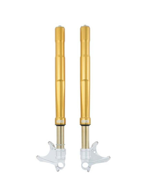 Ohlins 17-22 Suzuki GSX-R 1000 FGRT 200 Fork - FGRT 224 Photo - Primary