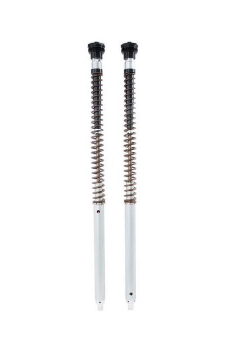 Ohlins 17-22 Ducati Scrambler Desert Sled(KYB) NIX 30 Adv Cartridge Kt (Springs/Oil Sold Separately) - FKA 109 Photo - Primary