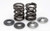 Kibblewhite Dual Valve Spring Kit: 08-13 Yamaha Raptor 250