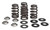 13+ Various KTM / Husqvarna 450cc Engines Kibblewhite Valve Spring Kit