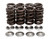 Kibblewhite Valve Spring Kit: 71-78 Honda CB 500/4 / 550/4