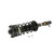 KYB Shocks & Struts Strut Plus Rear Right FORD Escort 1997-03 MERCURY Tracer 1997-99 - SR4014 Photo - out of package
