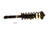 KYB Shocks & Struts Strut Plus Rear Right Honda Accord 08-12 - SR4173 Photo - Primary