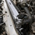 Mishimoto 10-23 Lexus GX460 4.6L Performance Aluminum Radiator - MMRAD-GX460-10 User 1