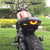 New Rage Cycles 15-17 Ducati Scrambler Classic/Icon/Full Throttle/Urban Enduro Fender Eliminator Kt - ICFU-FE-P