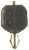 NGK Asuna Sunrunner 1993-1992 Direct Fit Oxygen Sensor - 21541 Photo - out of package