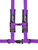 PRP 4.2 Harness- Purple Photo - Primary