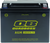 QuadBoss Maintenance-Free AGM Battery QBX20HL-FA - 401385 Photo - Primary