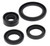 QuadBoss Qb Oil Seal Set 564595