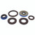QuadBoss Oil Seal Set - 564255 Photo - Primary