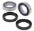 QuadBoss 02-07 Suzuki LT-A400 Eiger 2x4 Rear ATV Wheel Bearing & Seal Kit
