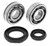 QuadBoss Crankshaft Bearing Kit - 413250