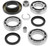 QuadBoss 99-02 Kawasaki KVF300 Prairie 2x4 Rear Differential Bearing & Seal Kit