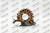 Ricks Motorsport New OEM Style Kawasaki Stator - 21-242