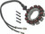 Twin Power 99-01 FLH FLT Stator Replaces H-D 29987-89 40 Amp Photo - Primary