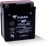 Yuasa YTX7L-BS Maintenance Free AGM 12 Volt Battery (Bottle Supplied)