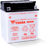 Yuasa YB30CL-B Yumicron CX 12 Volt Battery User 1