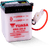 Yuasa 6N4-2A-8 Conventional 6 Volt Battery User 1