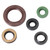 SUZUKI LT-R 450 QUADRACER 06-09 Tusk Engine Oil Seal Kit
