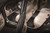 3D MAXpider 2007-2013 Chevrolet Silverado Extended Cab Kagu 1st & 2nd Row Floormats - Black - L1CH05001509 Photo - Mounted