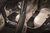 3D MAXpider 2015-2020 Ford Edge Kagu 1st & 2nd Row Floormats - Black - L1FR09301509 Photo - Mounted