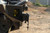 DV8 Offroad Universal Quick Release D-Ring License Plate Mount - LPUN-01 Photo - out of package
